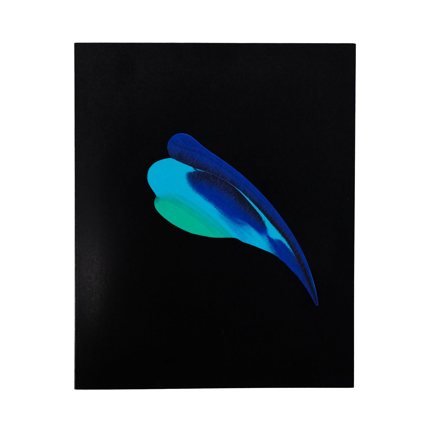 Feather Greeting Card