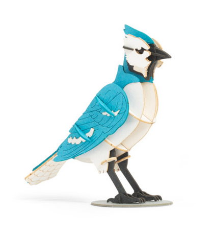 Blue Jay 3D Puzzle