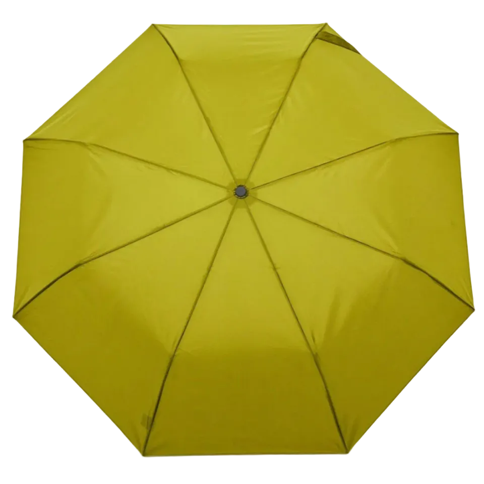 Compact Duck Umbrella